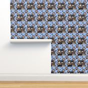 German shepherd family in blue