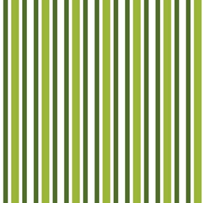 Merry Stripes-Green