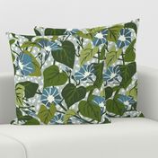 Climbing Morning Glories - Large - Blue