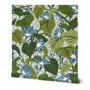 Climbing Morning Glories - Large - Blue