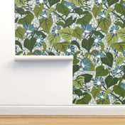 Climbing Morning Glories - Large - Blue