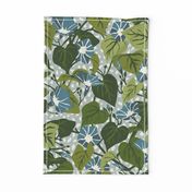 Climbing Morning Glories - Large - Blue