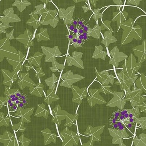 purple blossom ivy vines