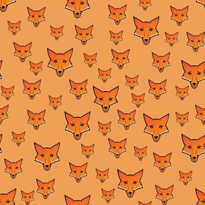 Orange Fox Orange Background