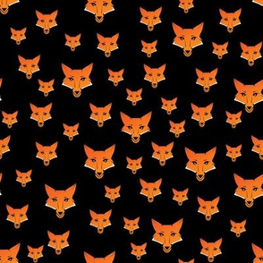 Orange Fox Black Background