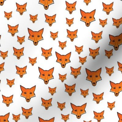 Orange Fox White Background