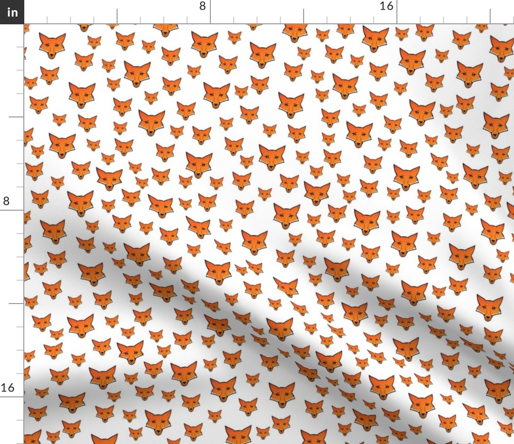 Orange Fox White Background