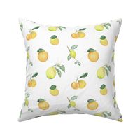 Citrus Pattern 7 White