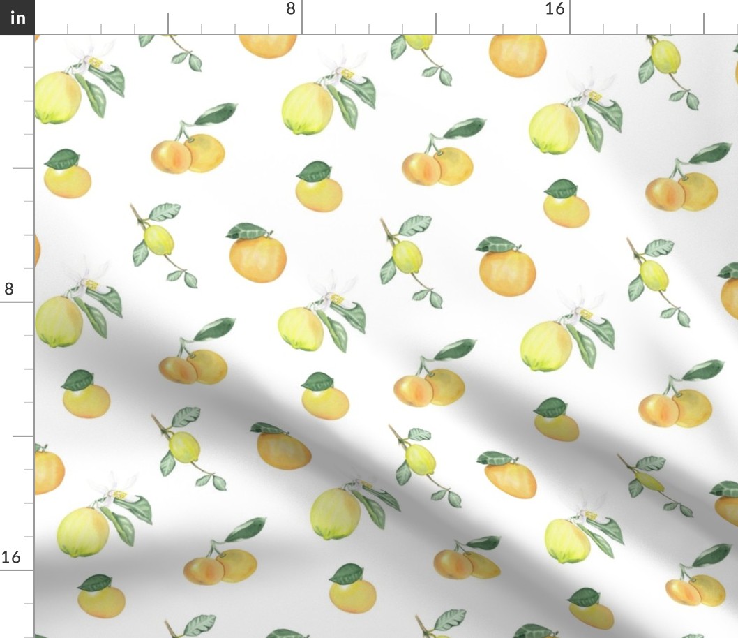 Citrus Pattern 7 White