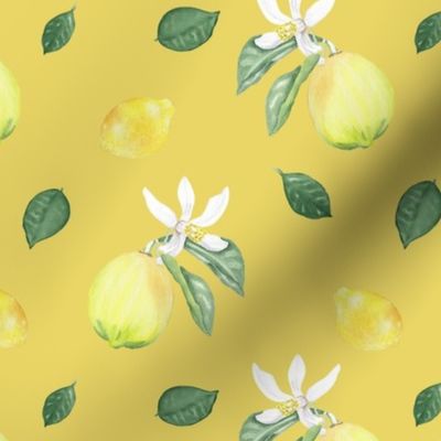 Citrus Pattern 10 Lemon Serbet