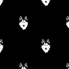 Husky dog wolf animal black white pet gothic