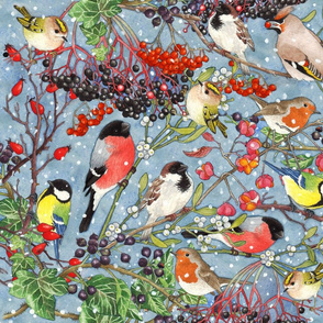 birds and berries