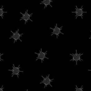 Adenoviruses - White on Black