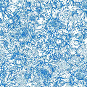 Chrysanthemum flowers and bettles in blue
