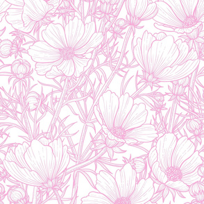 Line drawing of cosmos flower in pink