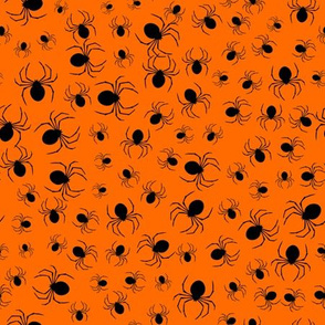 Spiders on orange