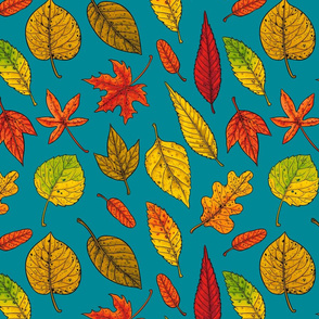 Autumn leaves on turquoise