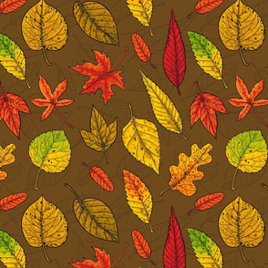Autumn leaves on brown