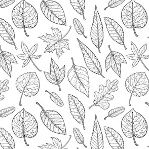 Autumn leaves linework, black and white