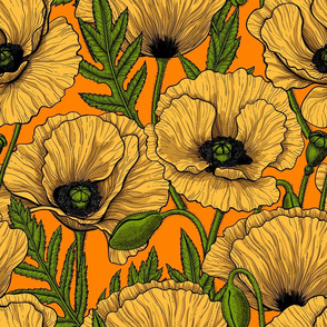 Yellow poppy garden