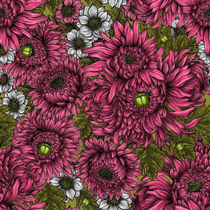 Pink and white chrysanthemum flowers and green bettles