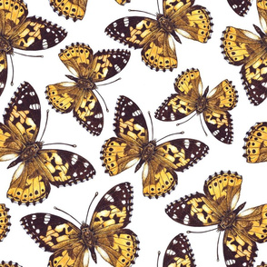 Painted lady butterfly pattern on white