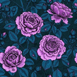 Pale magenta roses on a dark background