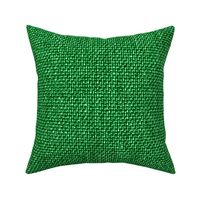 Green Linen solid grass green texture coordinate Fabric