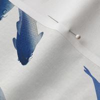 Koi Fish - Medium - Blue and White - Textured Background