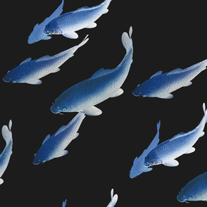 Koi Fish - Large - Blue and Black