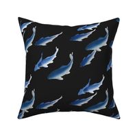 Koi Fish - Medium - Blue and Black