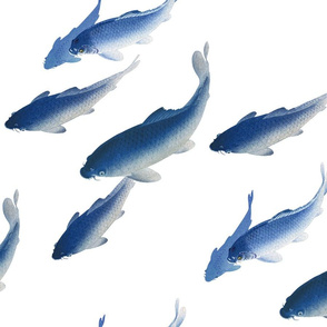 Koi Fish - Large - Blue and White