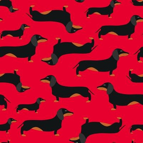 Dachshunds, red