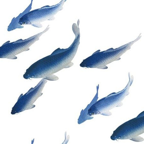 Koi Fish - Medium - Blue and White