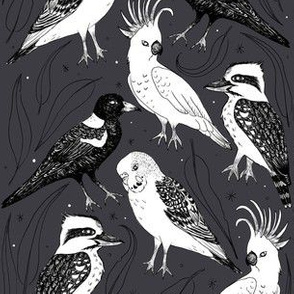 Aussie birds on grey