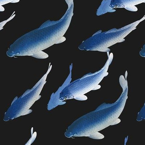 Koi Fish 2 - Small - Blue and Black