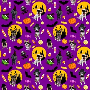 Dogs Gone Wild for Halloween_Purple