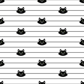 Black Cat Pinstripe