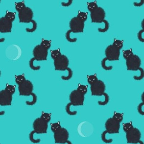 Black cats, midnight