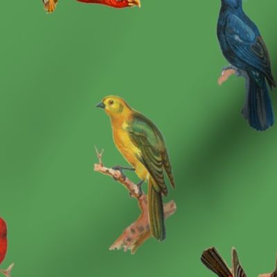 Big Birds Galore - malachite green
