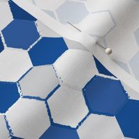 Royal Blue White Hex School Colors