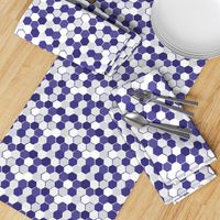 Purple White Hex School Colors