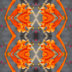 Trumpets Orange with grey