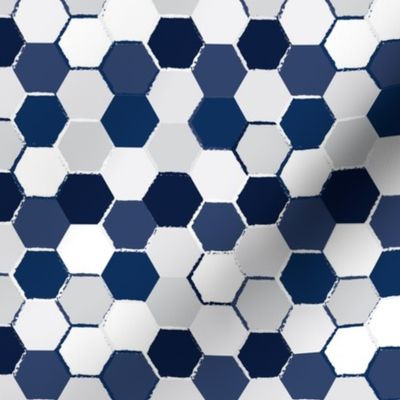 Navy White Hex School Colors