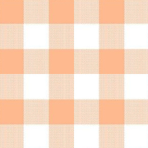 1" Woven Buffalo Check - Peach and White (buffalo plaid, peach and white plaid, buffalo check, faux woven texture, peach, orange, pink, salmon, blush, girl plaid, summer, spring, easter, one inch scale)