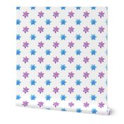 Blue and Pink stars on White
