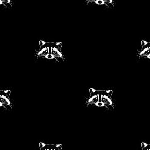 raccoon raccoons racoon racoons trash panda forest animal animals zoo cute cutie kawaii dark moody gothic goth