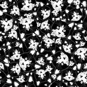 cat cats feline kitty kitten meow pet animal animals companion friend baby flower flowers abstract black & white black