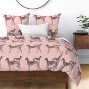 Pink greyhounds