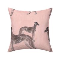 Pink greyhounds